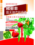 椒多丰膨大增产抗病毒