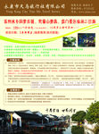 旅游宣传单