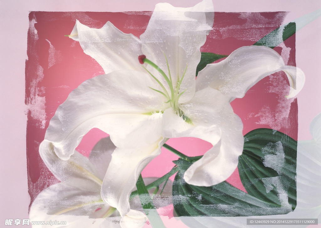 插花艺术
