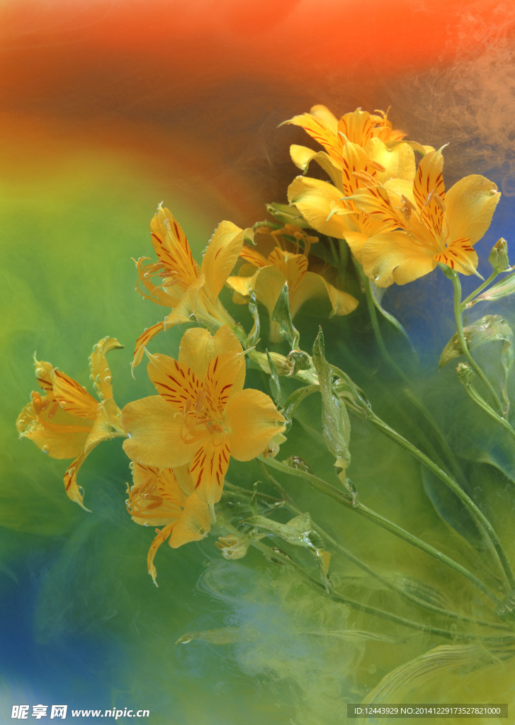 插花艺术
