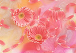 插花艺术