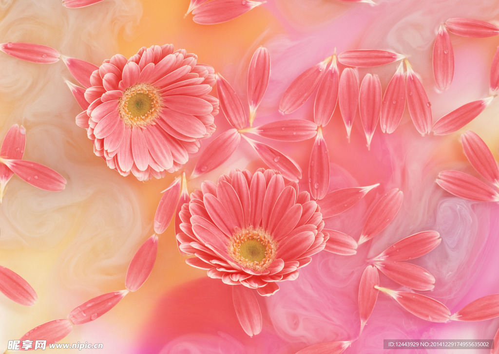 插花艺术
