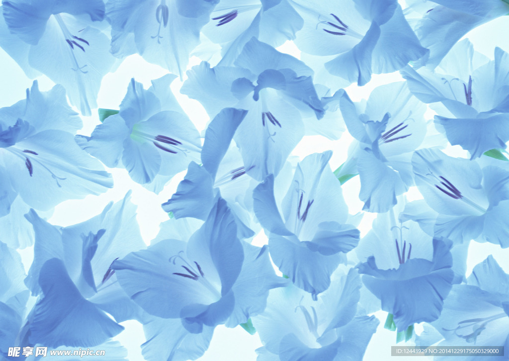 插花艺术