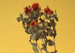 插花