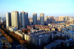 城市中心