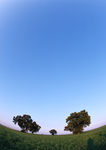 蓝天白云风景图片