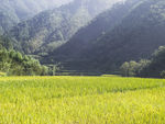 田园风景
