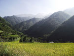 山水田园