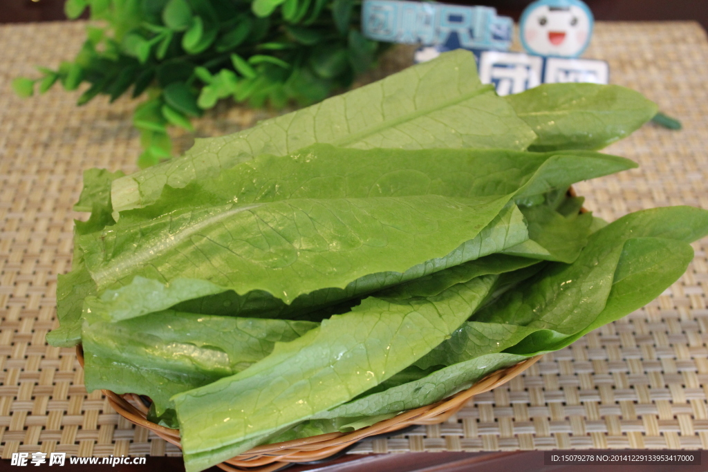 油麦菜 香麦