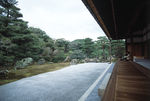 日式庭院