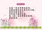 幼儿园宣传栏