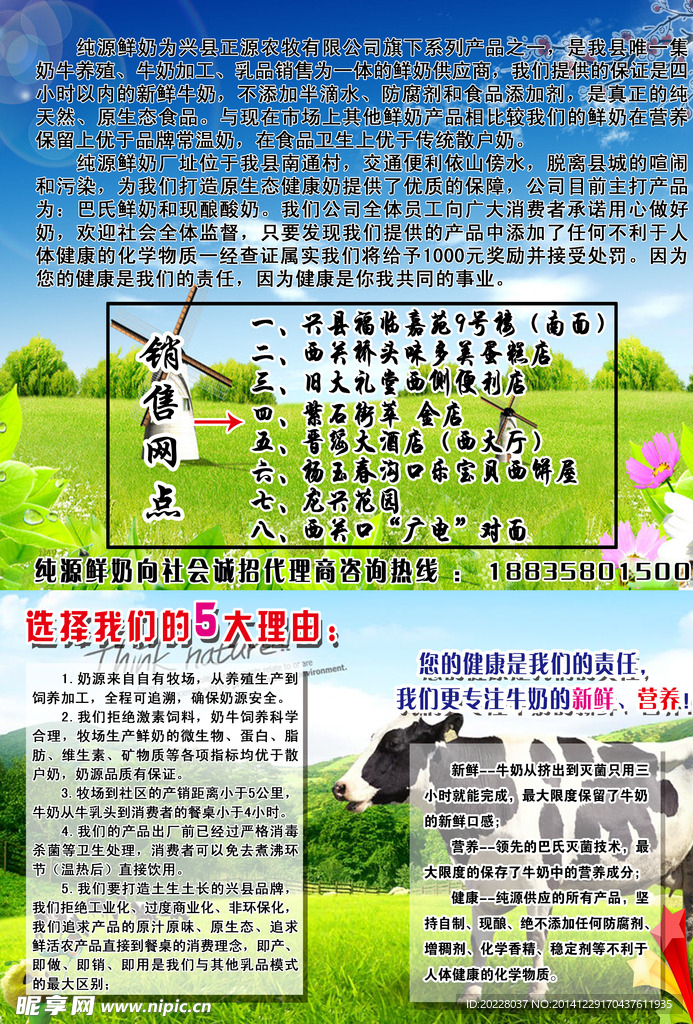 纯源鲜奶宣传单