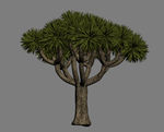 灌木3D模型