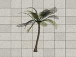 热带植物3D模型