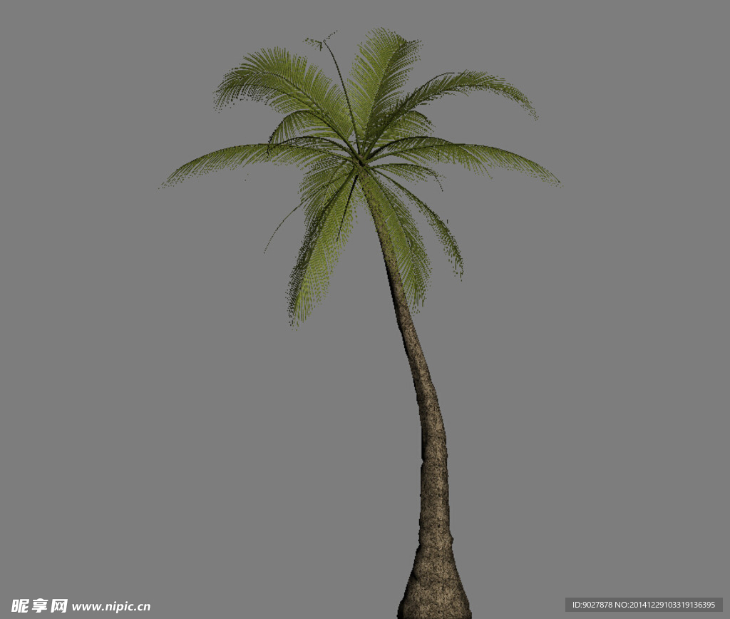 热带树3D模型