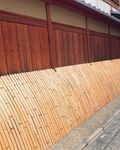 建筑风光