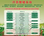 汗蒸整健反应展板
