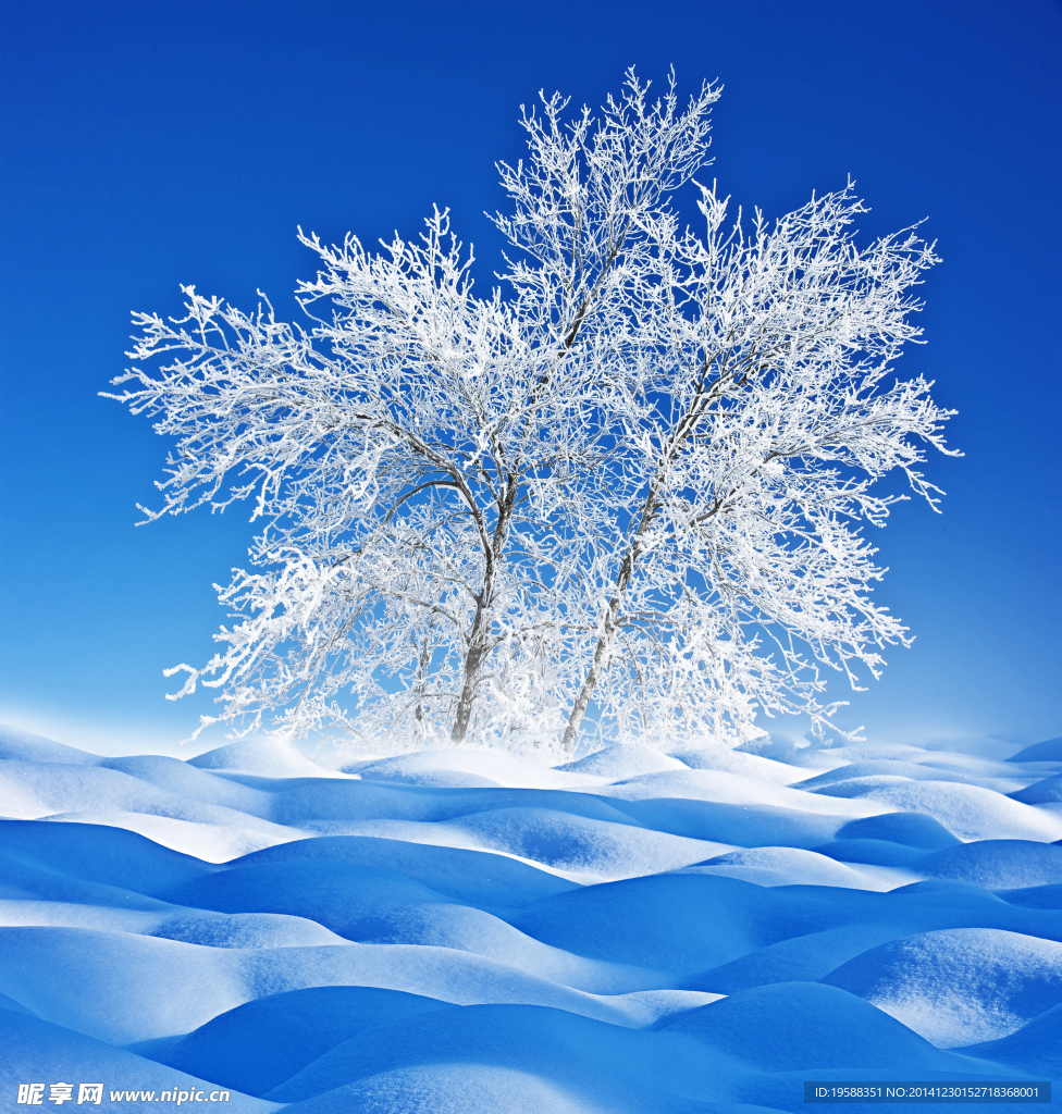 冰天雪地