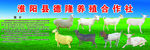 淮阳县德隆养殖合作社