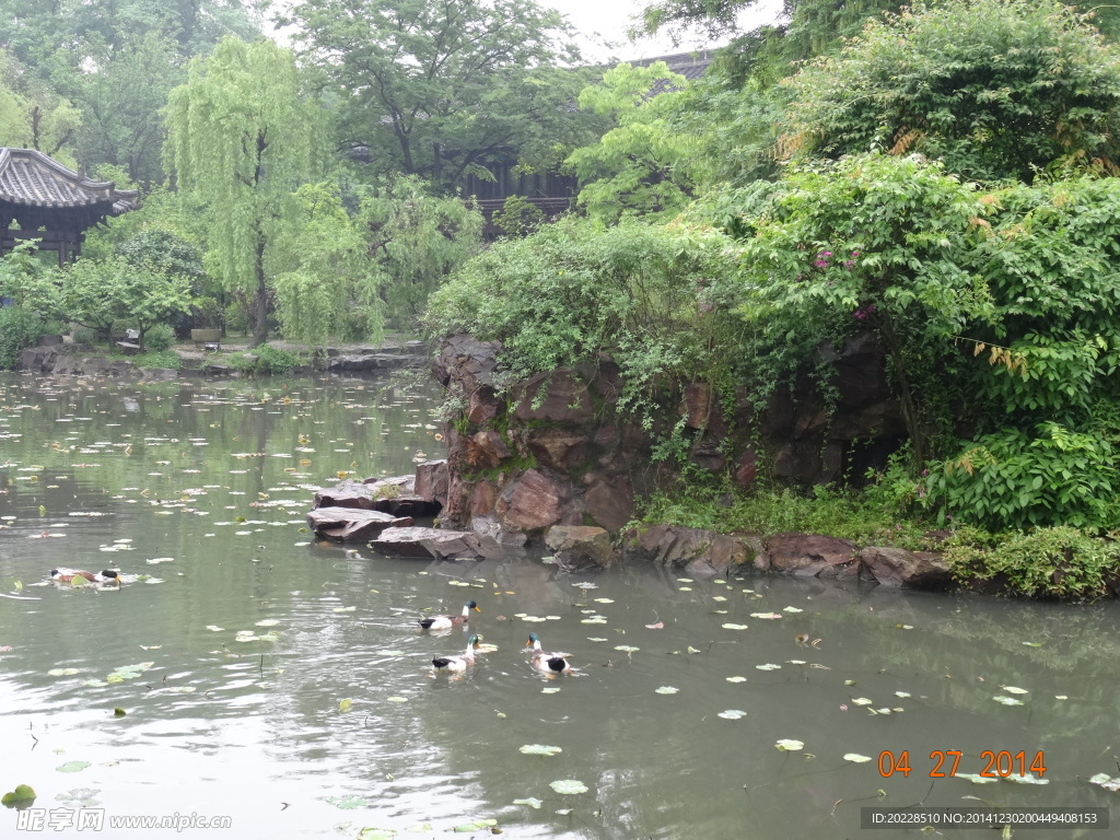 绍兴沈园风景