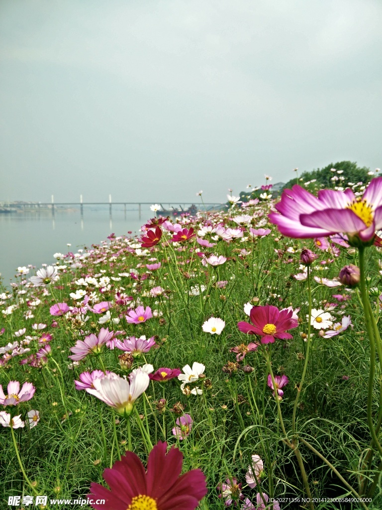 花