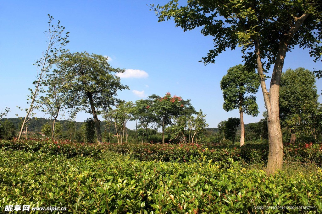 公园小景