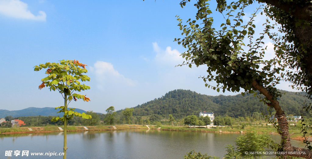 李集风光