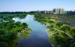 城市公园