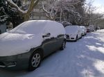 被雪没过的汽车