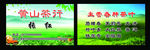 茶叶名片