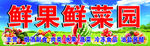 鲜果鲜菜园