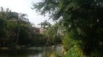 小区环境