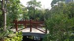 小区景观
