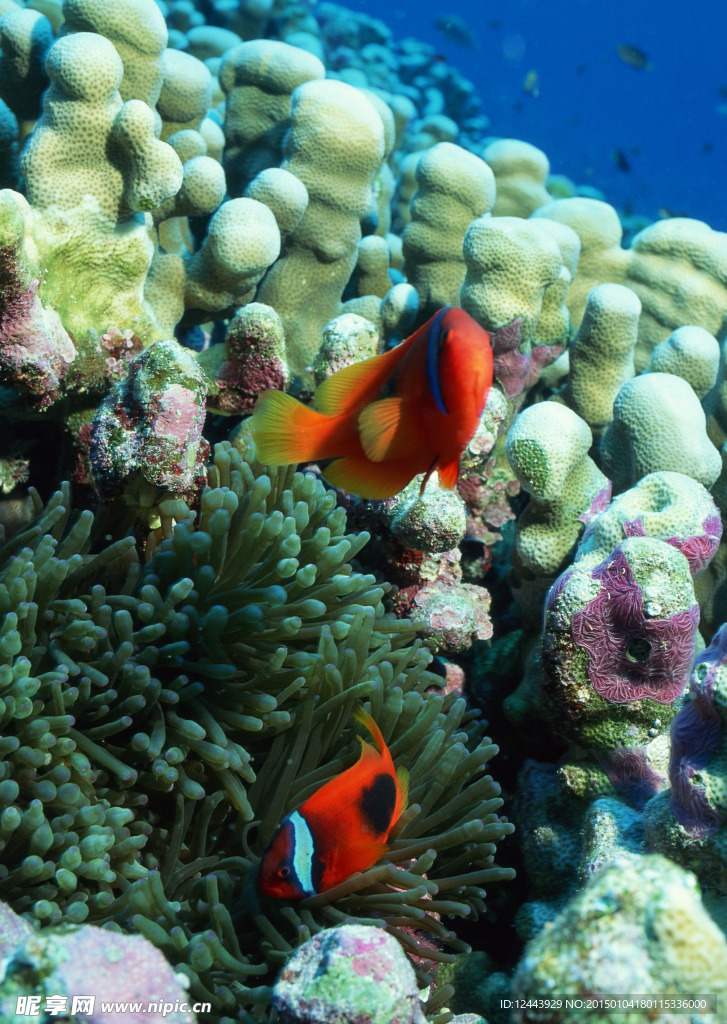 海洋世界