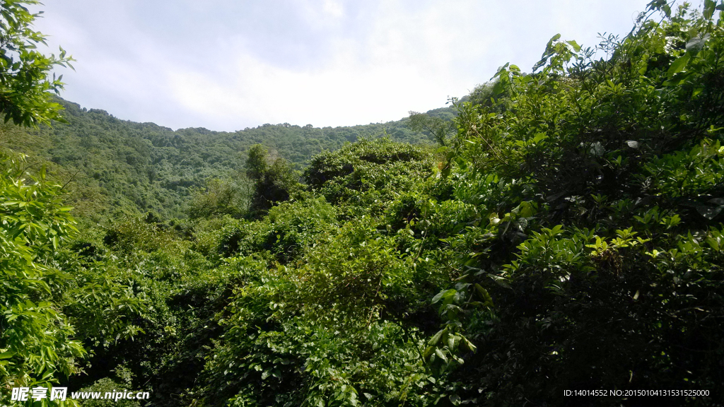 自然风景 春天