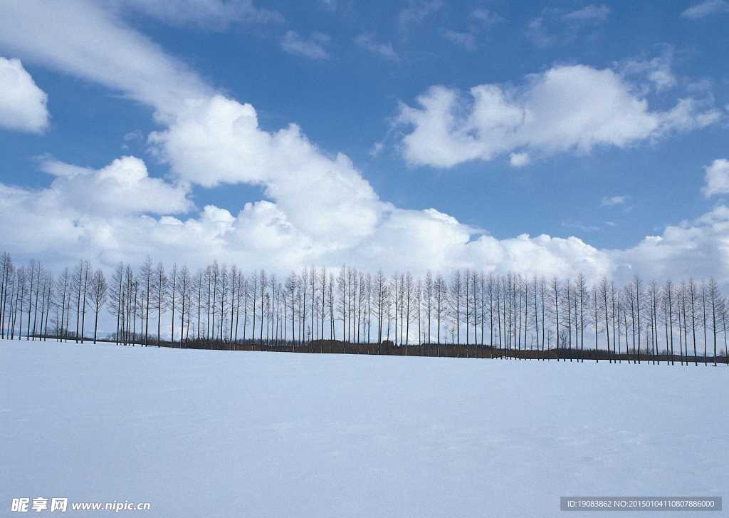 雪景