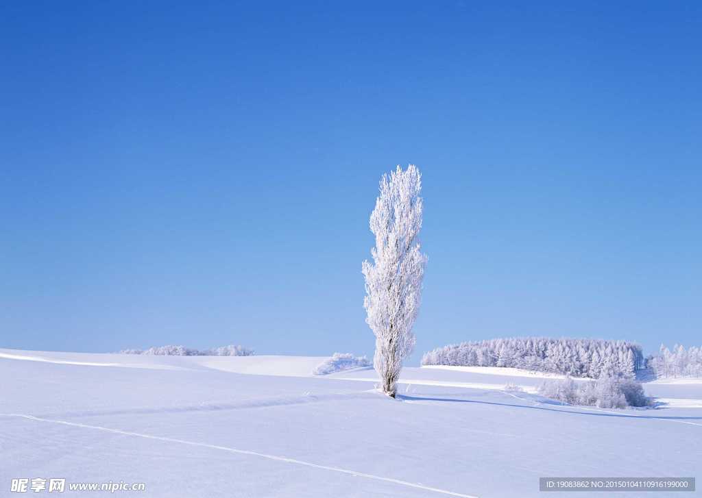 雪景