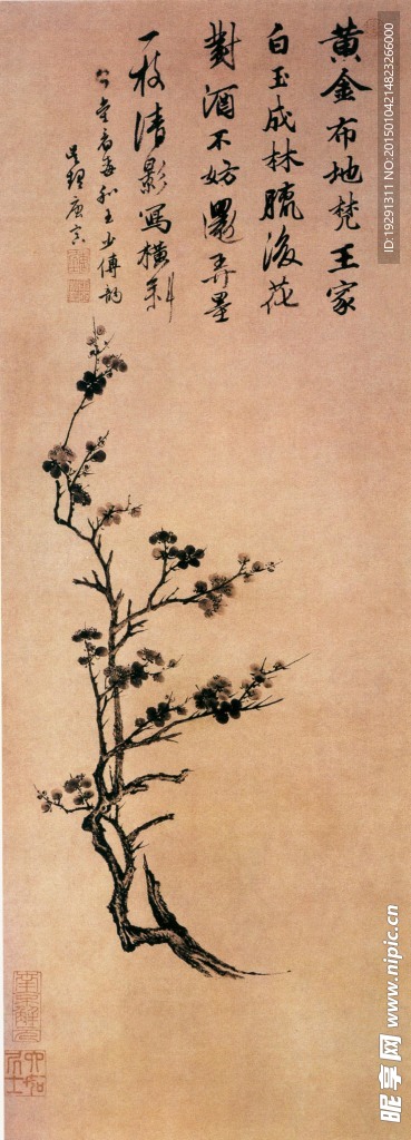 国画花卉