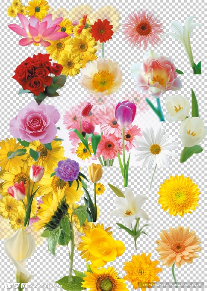 花素材