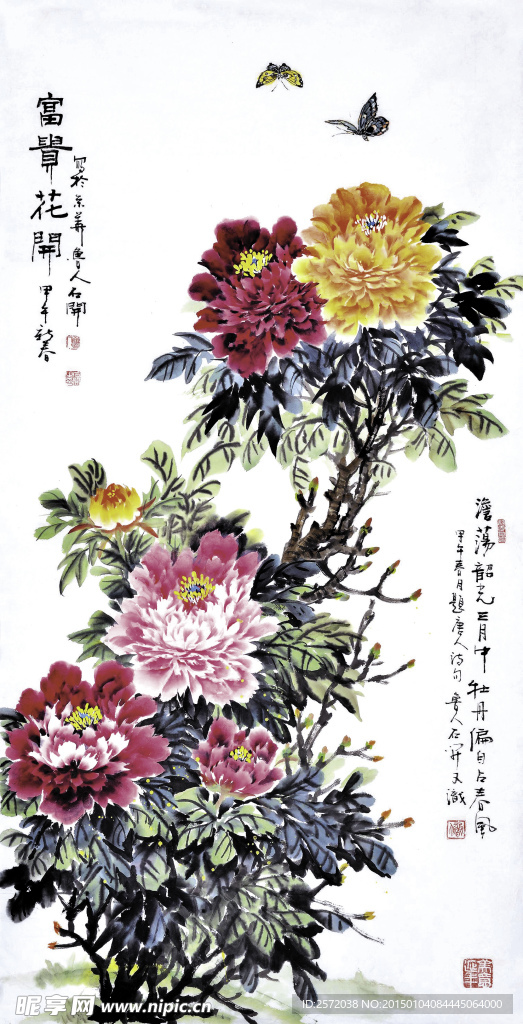 富贵花开