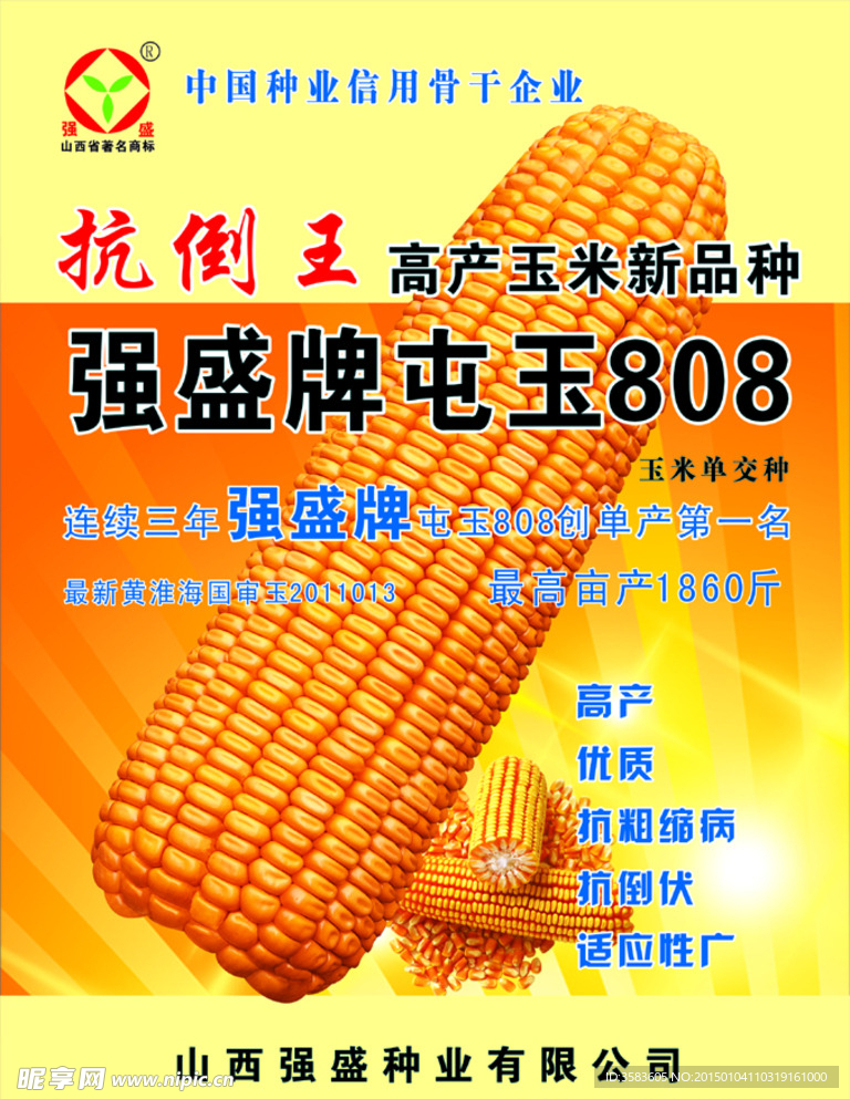 玉米种子宣传单图片