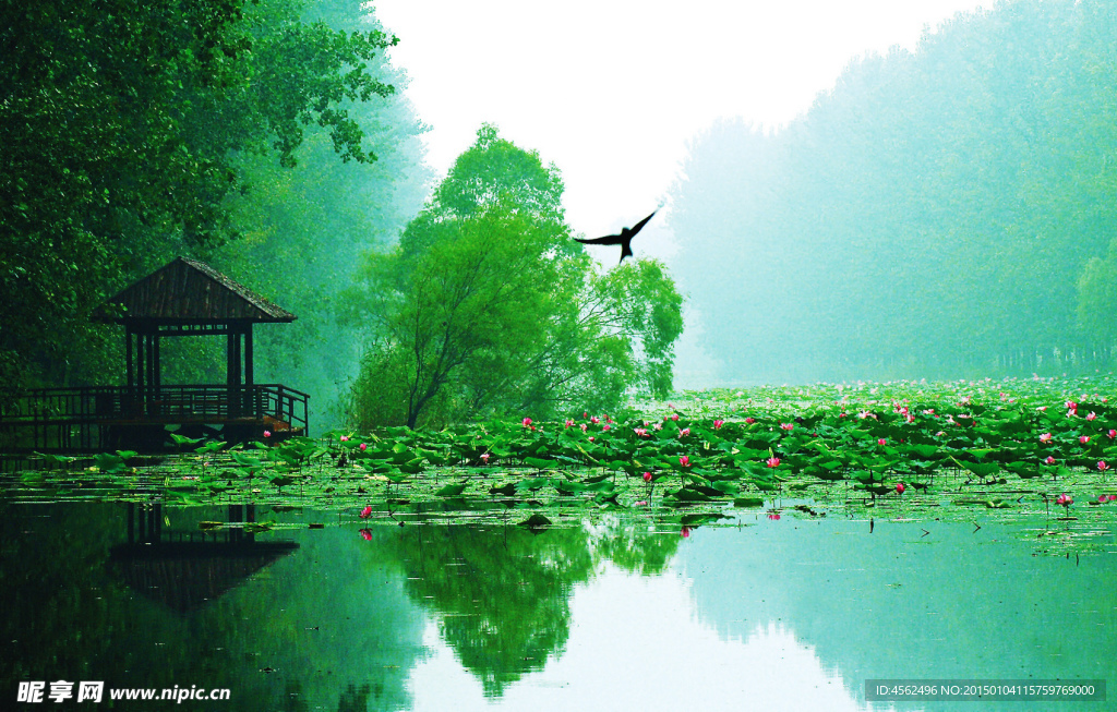 湖水