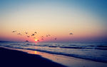 夕阳 海滩