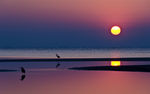 夕阳 海滩