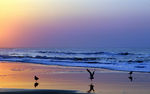 夕阳 海滩