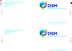 DSM标签