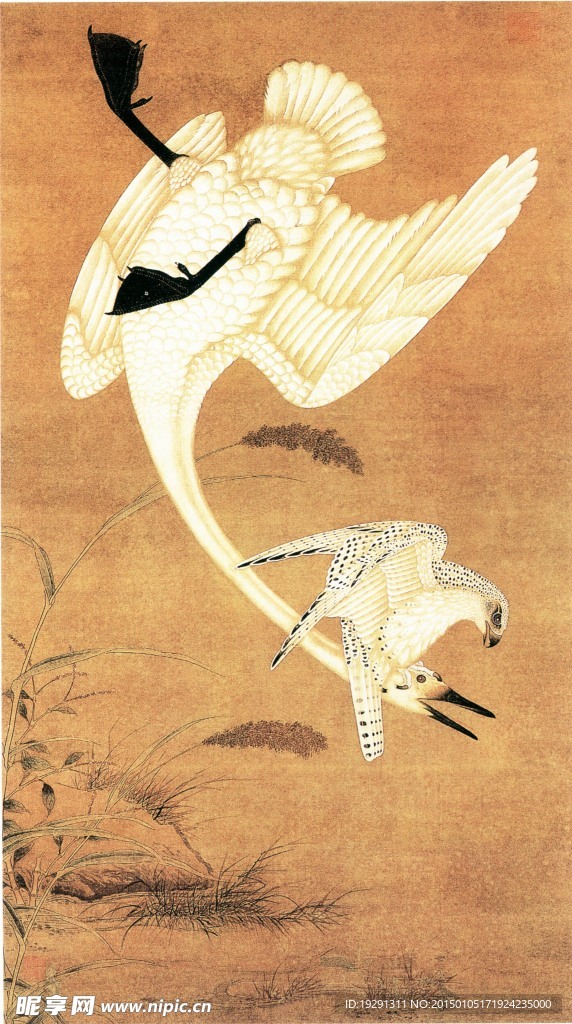 国画小鸟