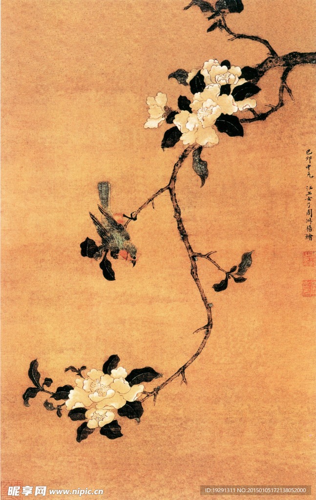国画花卉