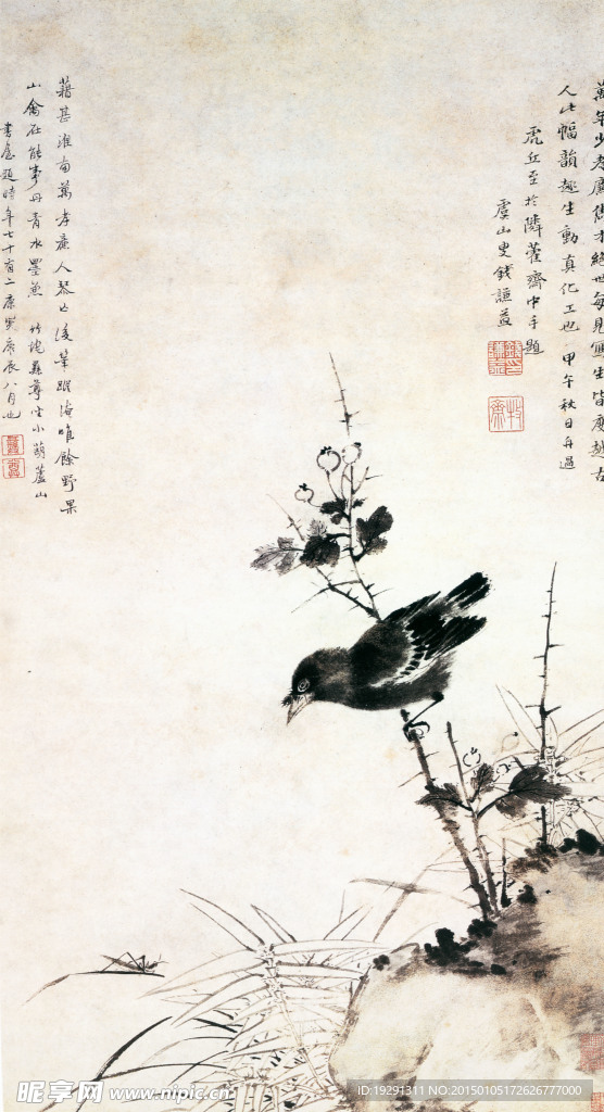 国画花鸟
