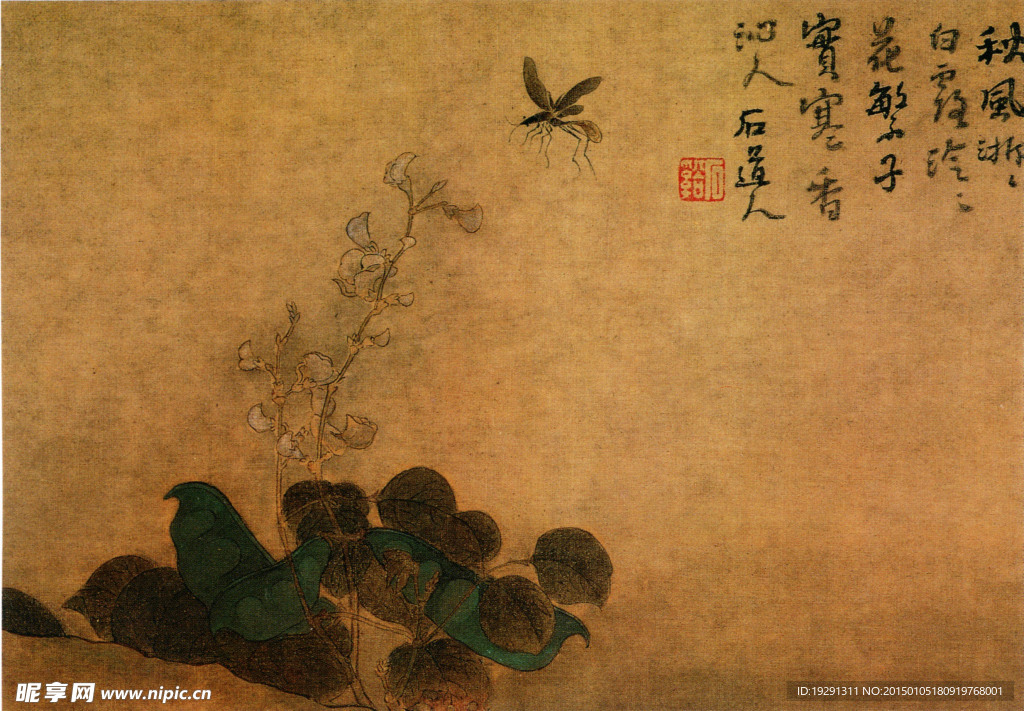 国画花鸟